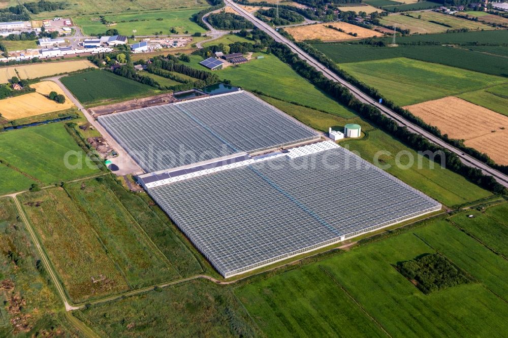 Hemmingstedt from the bird's eye view: Glass roof surfaces in the greenhouse for vegetable growing ranks of Vitarom frischgemuese GmbH in Hemmingstedt in the state Schleswig-Holstein, Germany