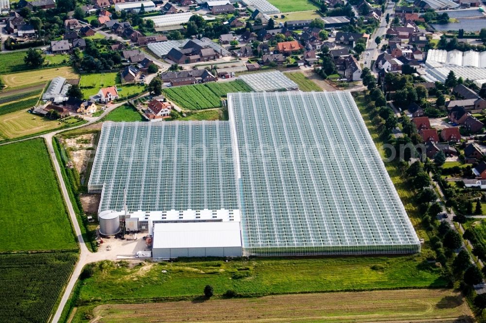 Aerial image Kerken - Glass roof surfaces in the greenhouse rows for Floriculture in Kerken in the state North Rhine-Westphalia, Germany