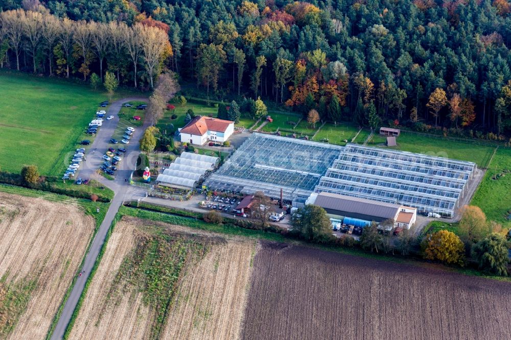 Aerial photograph Steinfeld - Glass roof surfaces in the greenhouse rows for catus growing culture in Steinfeld in the state Rhineland-Palatinate, Germany