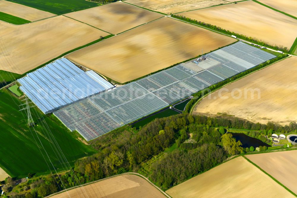 Wiesentheid from above - Glass roof surfaces in the greenhouse rows for Floriculture in Wiesentheid in the state Bavaria, Germany