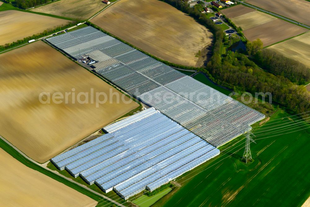 Wiesentheid from the bird's eye view: Glass roof surfaces in the greenhouse rows for Floriculture in Wiesentheid in the state Bavaria, Germany