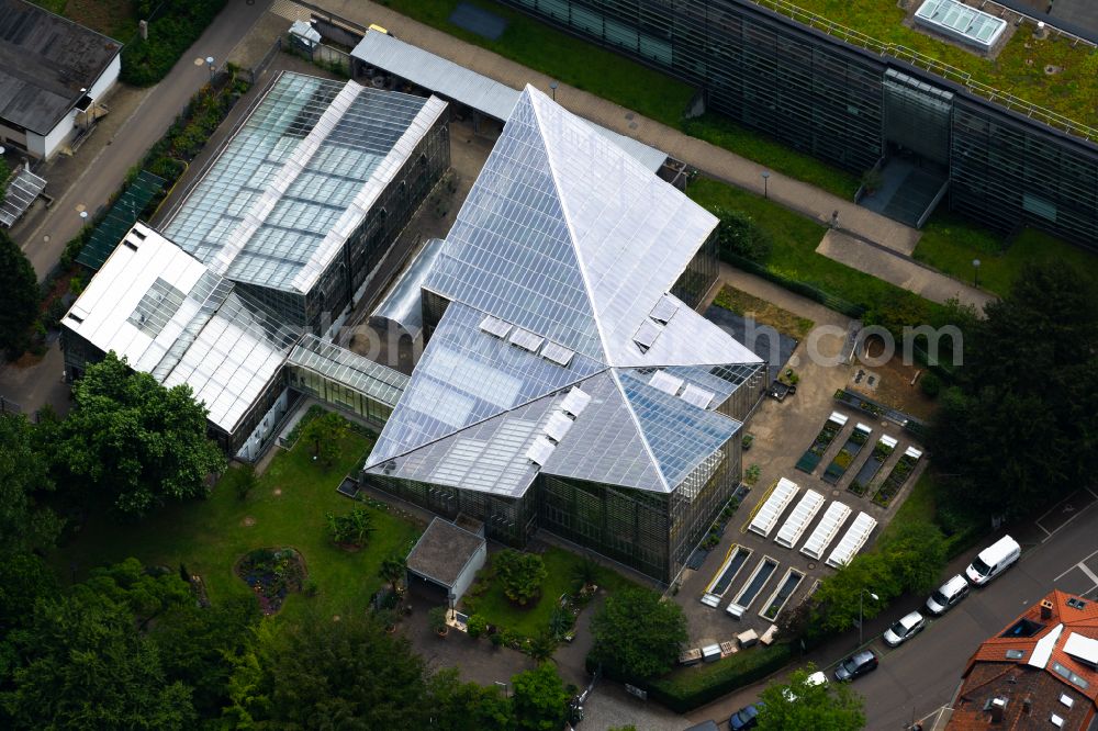 Freiburg im Breisgau from the bird's eye view: Greenhouse - complex of the Botanical Garden Freiburg in Freiburg im Breisgau in the state Baden-Wurttemberg, Germany