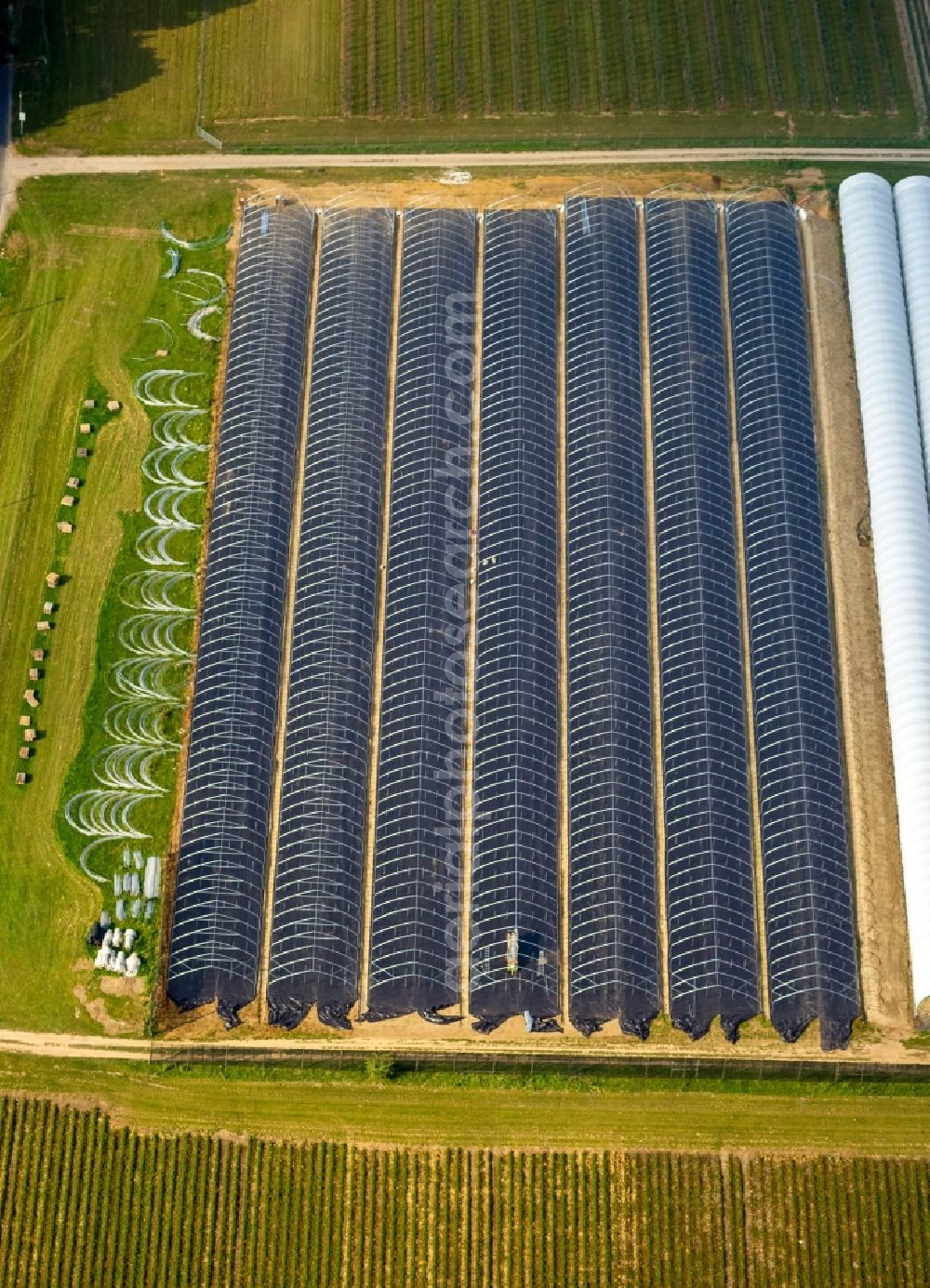 Bottrop from above - View of green houses in Bottrop - Kirchhellen in the state North-Rhine Westphalia