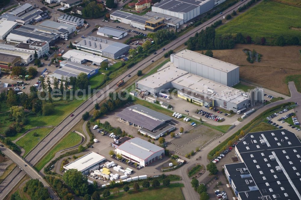 Willstätt from above - Industrial estate and company settlement with W. Armbruster Teigwarenfabrik GmbH in Willstaett in the state Baden-Wurttemberg, Germany