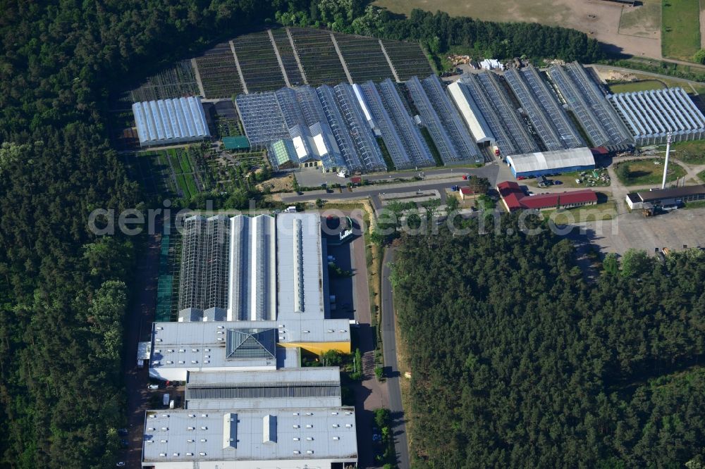 Aerial photograph Michendorf - Commercial area and flower markets in the East of Michendorf in the state of Brandenburg. The commercial area is located in the East of the borough in the county district of Potsdam-Mittelmark and is surrounded by forest and trees. Several garden markets, flower stores and horticultural businesses are located here