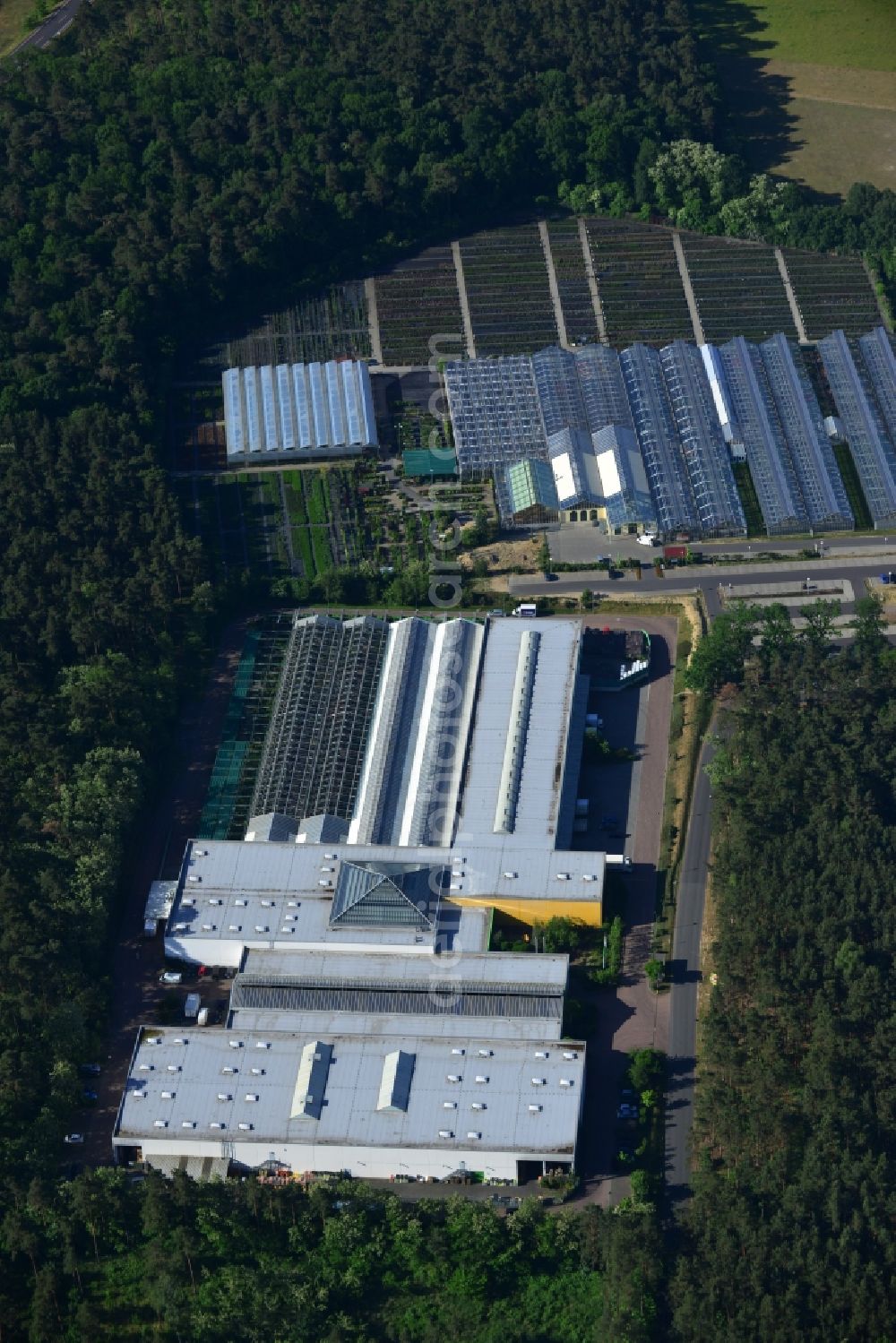 Michendorf from the bird's eye view: Commercial area and flower markets in the East of Michendorf in the state of Brandenburg. The commercial area is located in the East of the borough in the county district of Potsdam-Mittelmark and is surrounded by forest and trees. Several garden markets, flower stores and horticultural businesses are located here