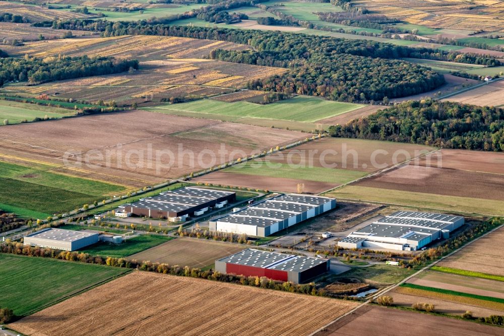 Dambach-la-ville from above - Industrial estate and company settlement in Dambach-la-ville in Grand Est, France