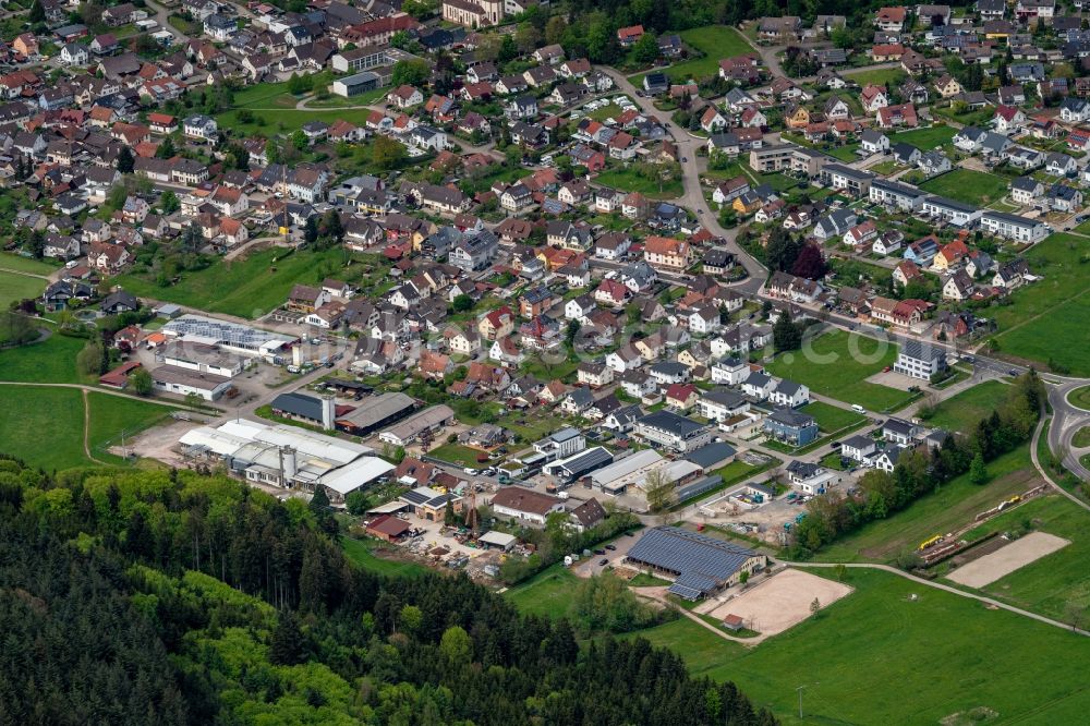 Lahr/Schwarzwald from the bird's eye view: Industrial estate and company settlement on Hexenmatt in Lahr/Schwarzwald in the state Baden-Wuerttemberg, Germany