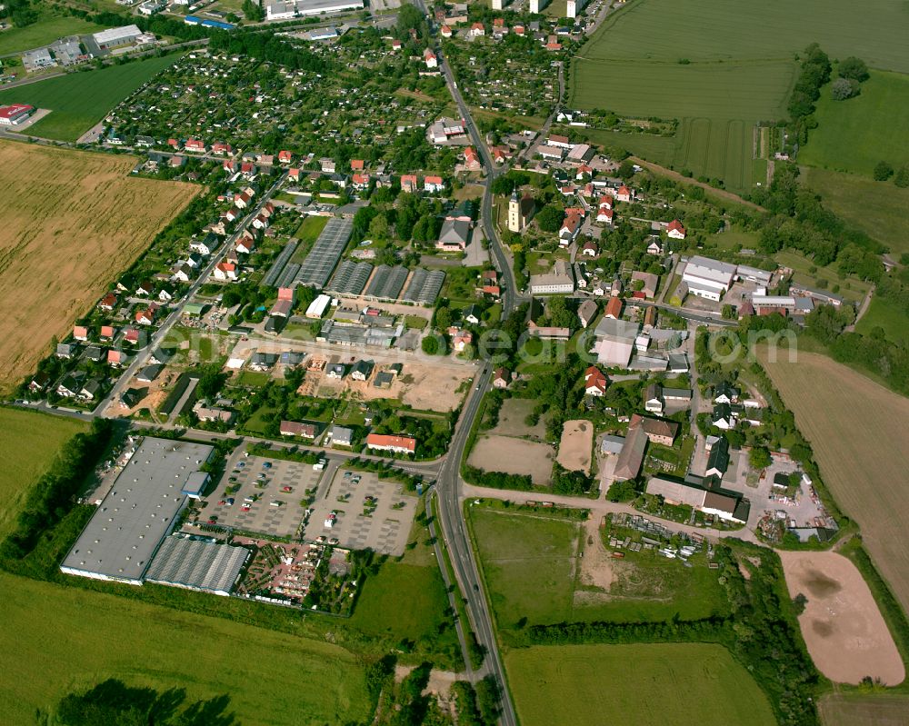 Riesa from the bird's eye view: Industrial estate and company settlement in Riesa in the state Saxony, Germany