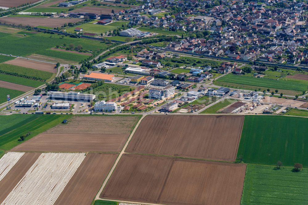 Aerial photograph Ringsheim - Industrial estate and company settlement in Ringsheim in the state Baden-Wurttemberg, Germany