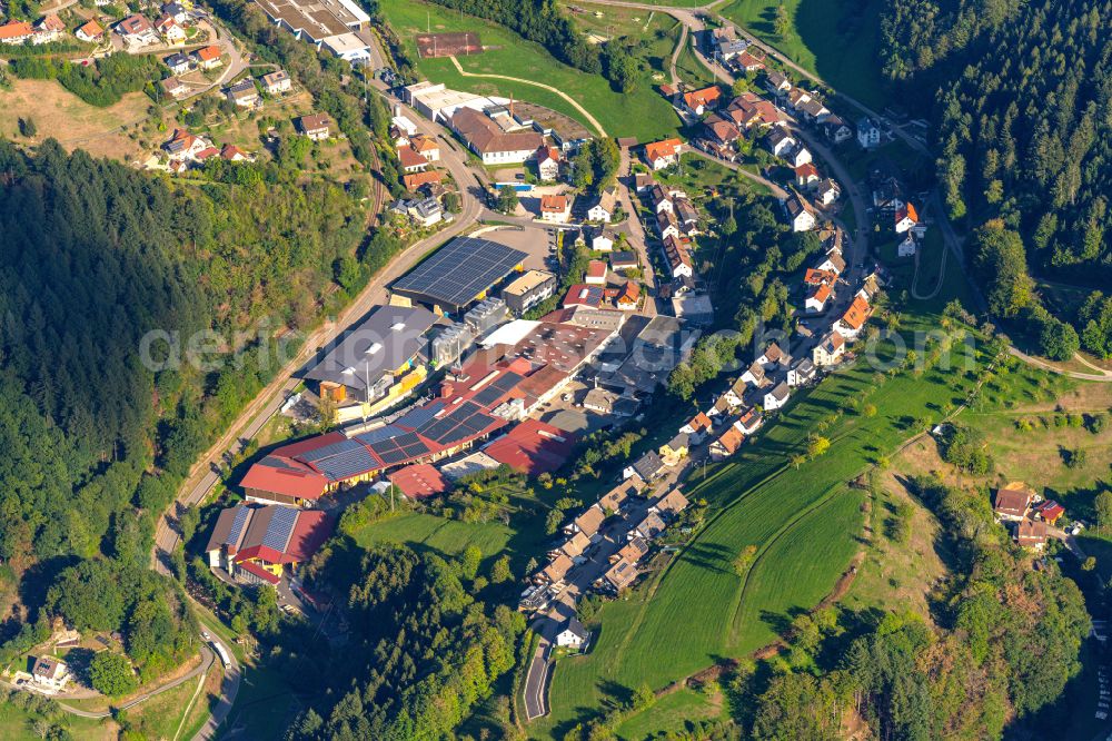 Aerial photograph Bad Peterstal-Griesbach - Industrial estate and company settlement Ortsteil Peterstal in Bad Peterstal-Griesbach in the state Baden-Wuerttemberg, Germany