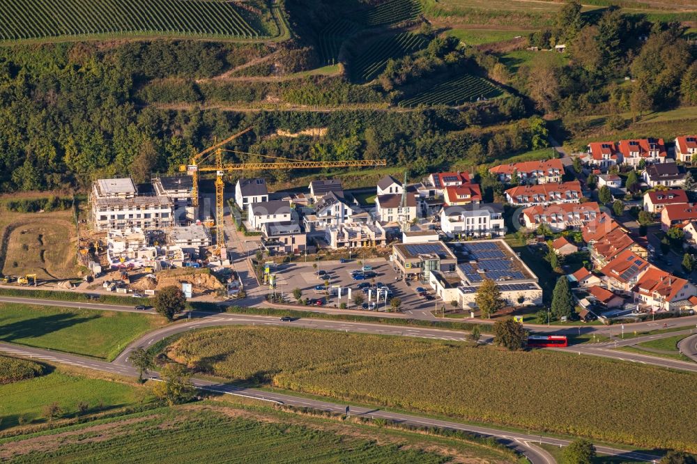 Malterdingen from the bird's eye view: Industrial estate and company settlement and Wohnsiedlung in Malterdingen in the state Baden-Wuerttemberg, Germany