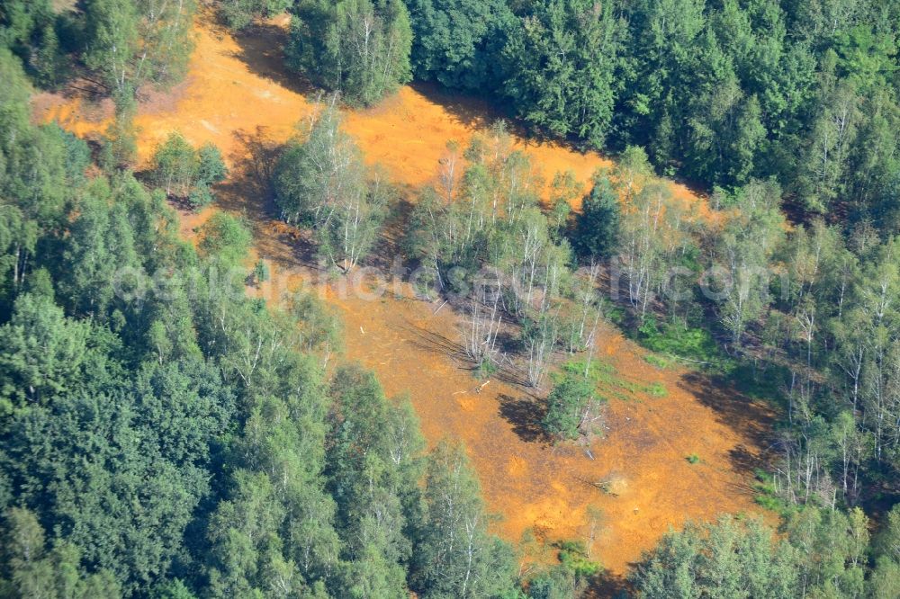 Aerial photograph Schwarzheide - View of water in Schwarzheide in Brandenburg