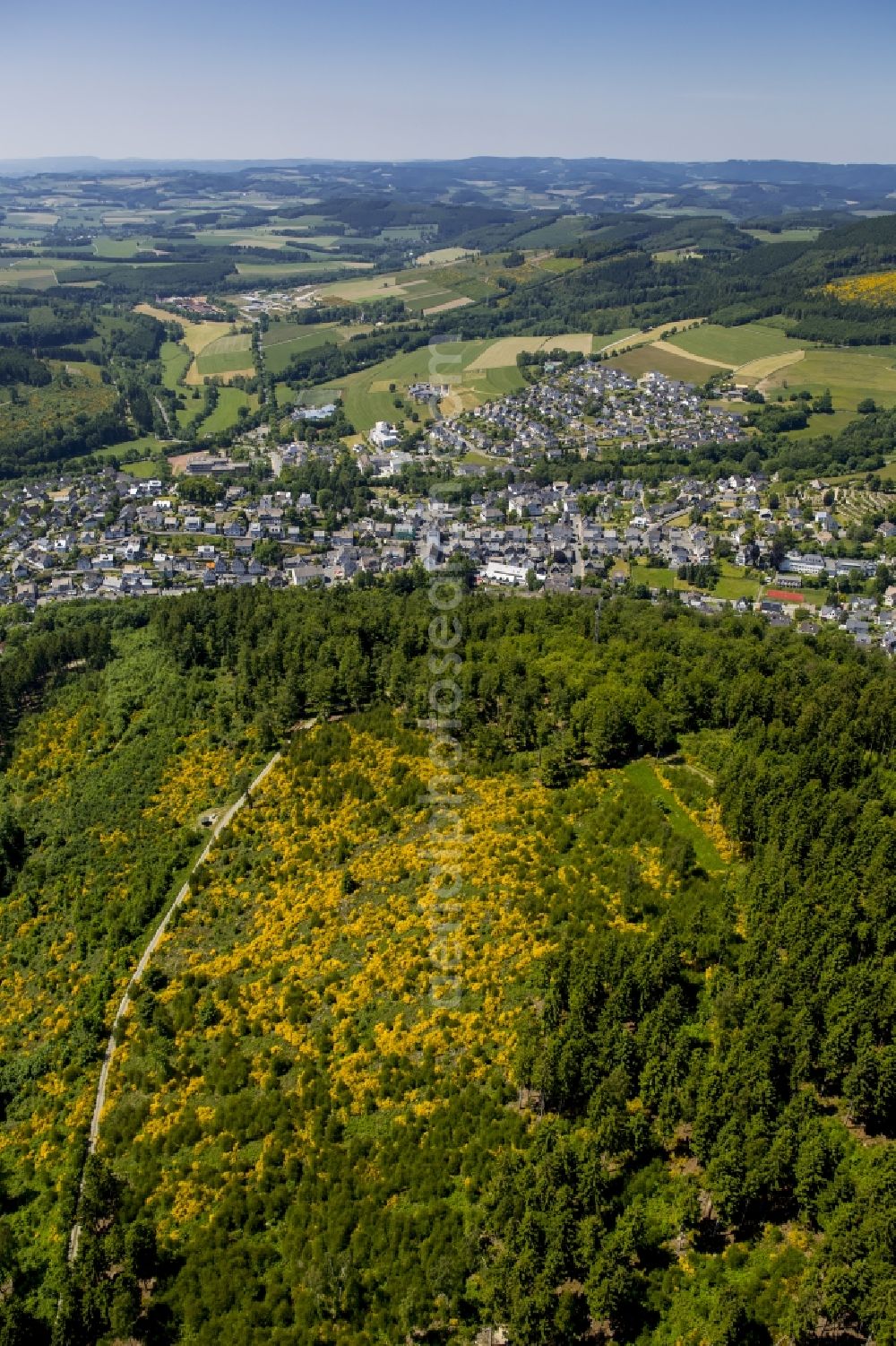 Medebach from the bird's eye view: Treetops in a wooded area in Medebach in the state North Rhine-Westphalia