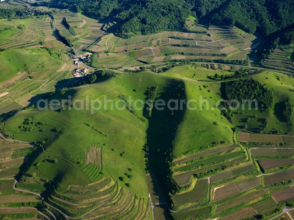 Aerial photograph Schelingen - Rocky and mountainous landscape of Badberg on Kaiserstuhl in Schelingen in the state Baden-Wuerttemberg