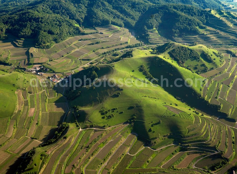 Schelingen from above - Rocky and mountainous landscape of Badberg on Kaiserstuhl in Schelingen in the state Baden-Wuerttemberg