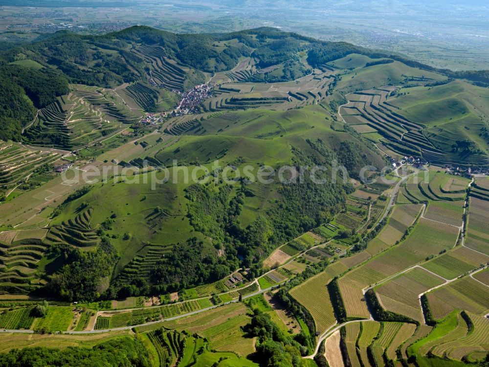 Schelingen from above - Rocky and mountainous landscape of Badberg on Kaiserstuhl in Schelingen in the state Baden-Wuerttemberg