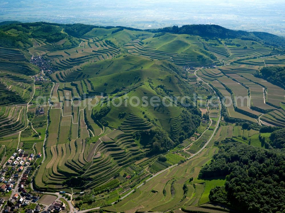 Schelingen from the bird's eye view: Rocky and mountainous landscape of Badberg on Kaiserstuhl in Schelingen in the state Baden-Wuerttemberg