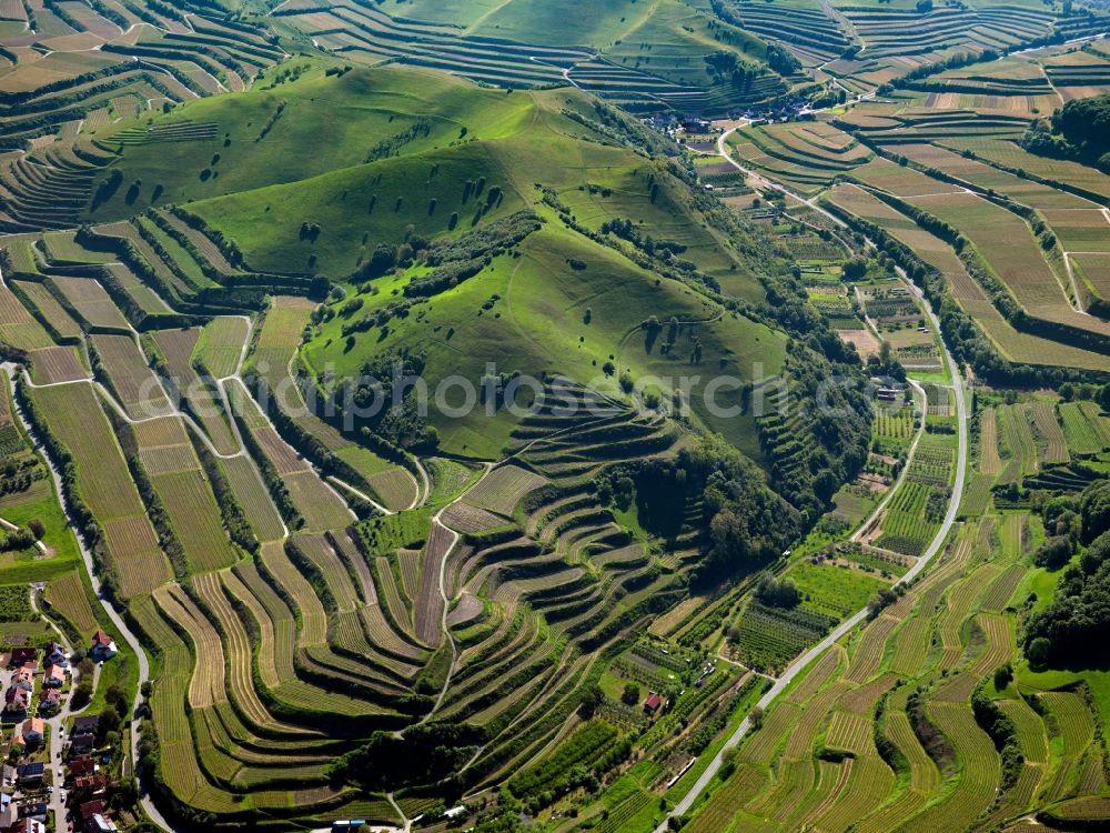 Aerial image Schelingen - Rocky and mountainous landscape of Badberg on Kaiserstuhl in Schelingen in the state Baden-Wuerttemberg