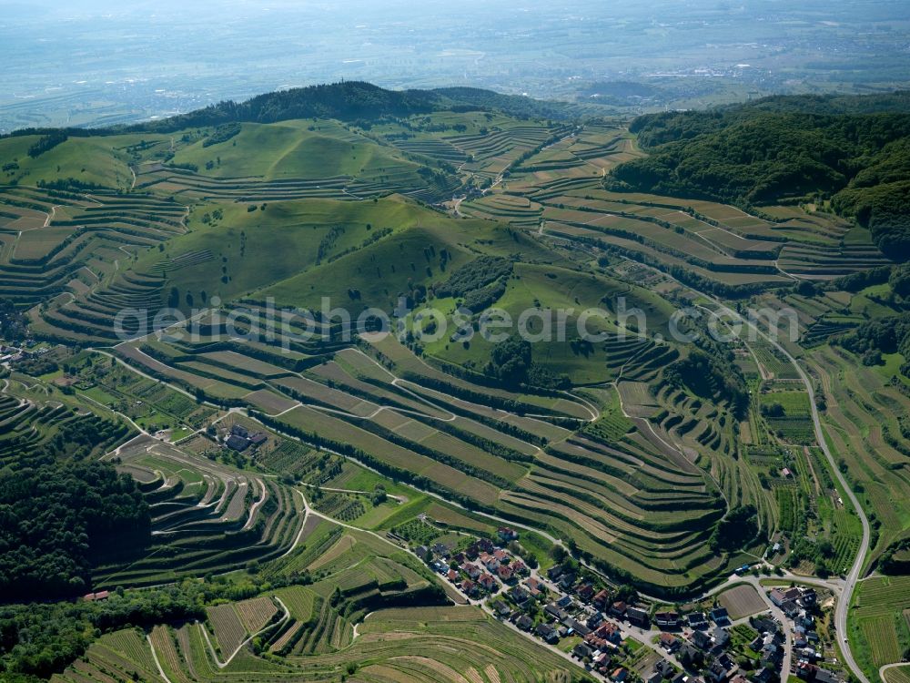 Aerial photograph Schelingen - Rocky and mountainous landscape of Badberg on Kaiserstuhl in Schelingen in the state Baden-Wuerttemberg