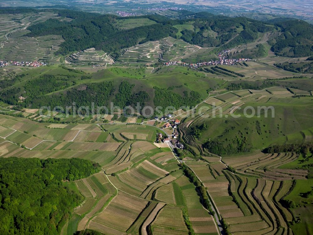 Aerial image Schelingen - Rocky and mountainous landscape of Badberg on Kaiserstuhl in Schelingen in the state Baden-Wuerttemberg