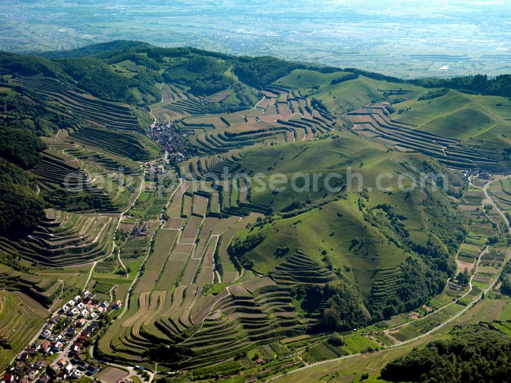 Schelingen from above - Rocky and mountainous landscape of Badberg on Kaiserstuhl in Schelingen in the state Baden-Wuerttemberg