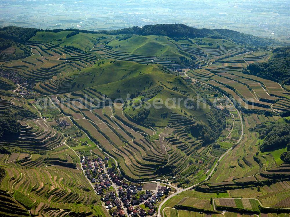 Schelingen from the bird's eye view: Rocky and mountainous landscape of Badberg on Kaiserstuhl in Schelingen in the state Baden-Wuerttemberg