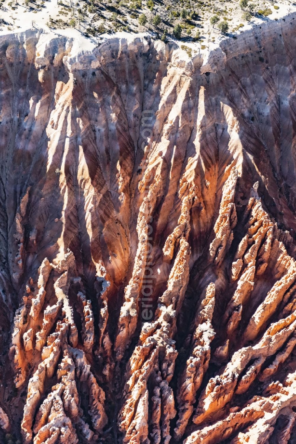 Aerial photograph Bryce Canyon City - Rocky and mountainous landscape Felsformation in Bryce Canyon National Park in Bryce Canyon City in Utah, United States of America