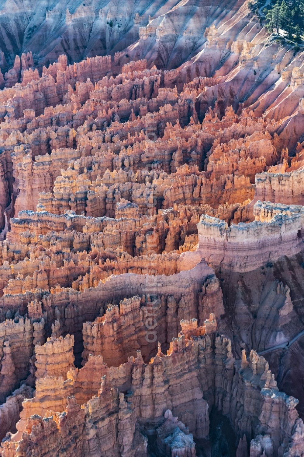 Bryce Canyon City from the bird's eye view: Rocky and mountainous landscape Felsformation in Bryce Canyon National Park in Bryce Canyon City in Utah, United States of America