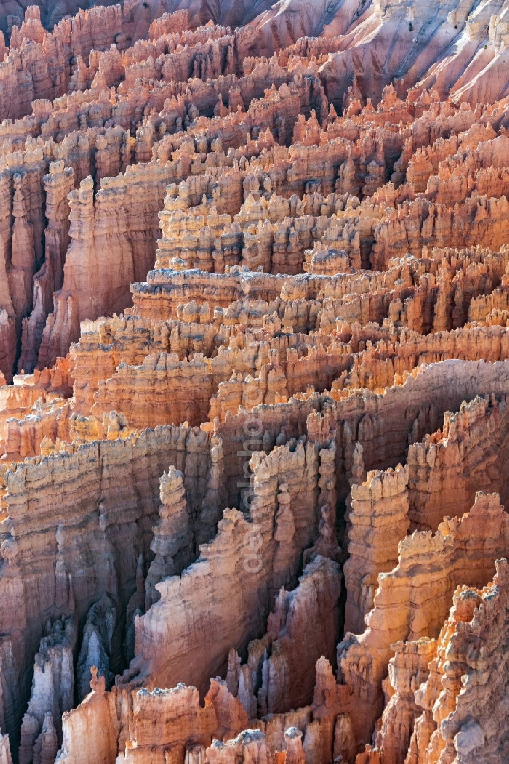 Bryce Canyon City from above - Rocky and mountainous landscape Felsformation in Bryce Canyon National Park in Bryce Canyon City in Utah, United States of America