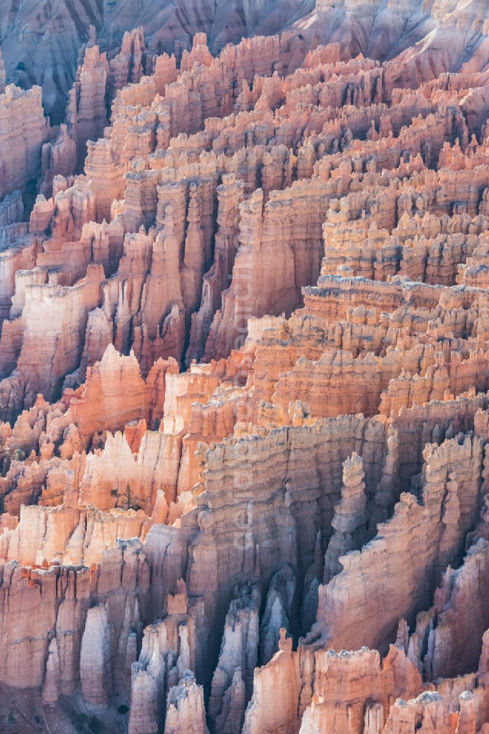 Bryce Canyon City from the bird's eye view: Rocky and mountainous landscape Felsformation in Bryce Canyon National Park in Bryce Canyon City in Utah, United States of America