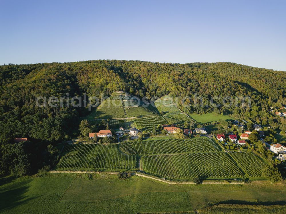 Dresden from the bird's eye view: Summit Rysselkuppe with the Klaus Zimmerling winery in the rock and mountain landscape on the Bergweg road in Dresden in the state of Saxony, Germany