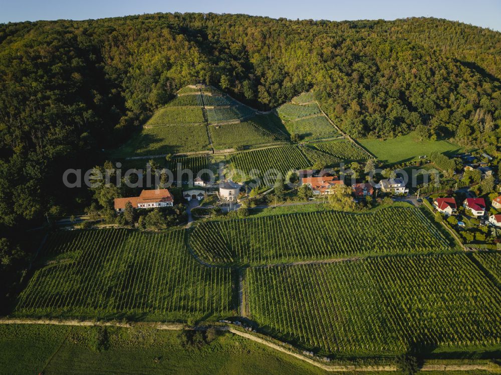 Aerial image Dresden - Summit Rysselkuppe with the Klaus Zimmerling winery in the rock and mountain landscape on the Bergweg road in Dresden in the state of Saxony, Germany