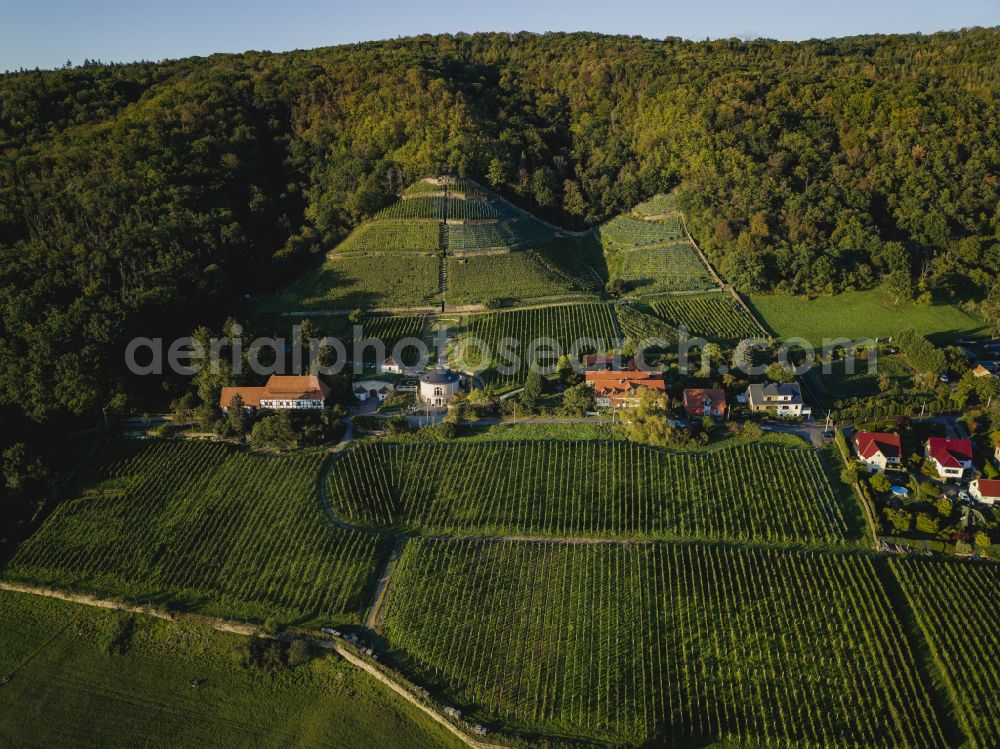 Aerial photograph Dresden - Summit Rysselkuppe with the Klaus Zimmerling winery in the rock and mountain landscape on the Bergweg road in Dresden in the state of Saxony, Germany