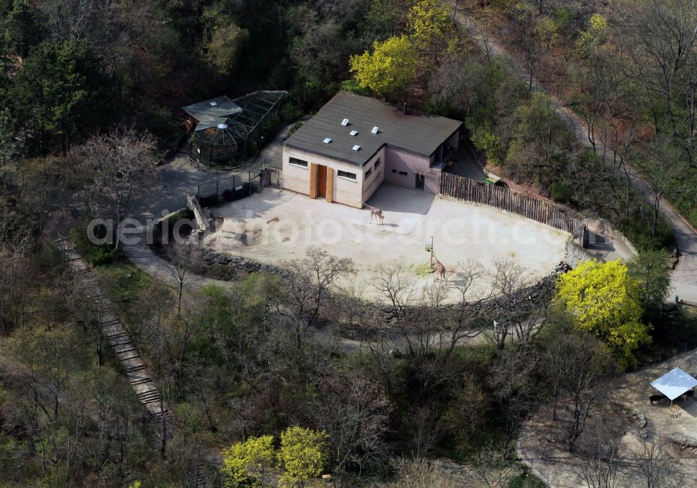 Aerial image Erfurt - Giraffes plant in the Thuringian Zoo Park in Erfurt in Thuringia