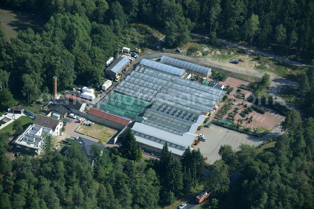 Petershagen from above - Glass houses and gardening store of Gaertnerei Rudolf and Gerd Kolbinger GbR in Petershagen in the state of Brandenburg. The garden-center with its parking lot and different green houses is located on L33, the Altlandsberger Chaussee