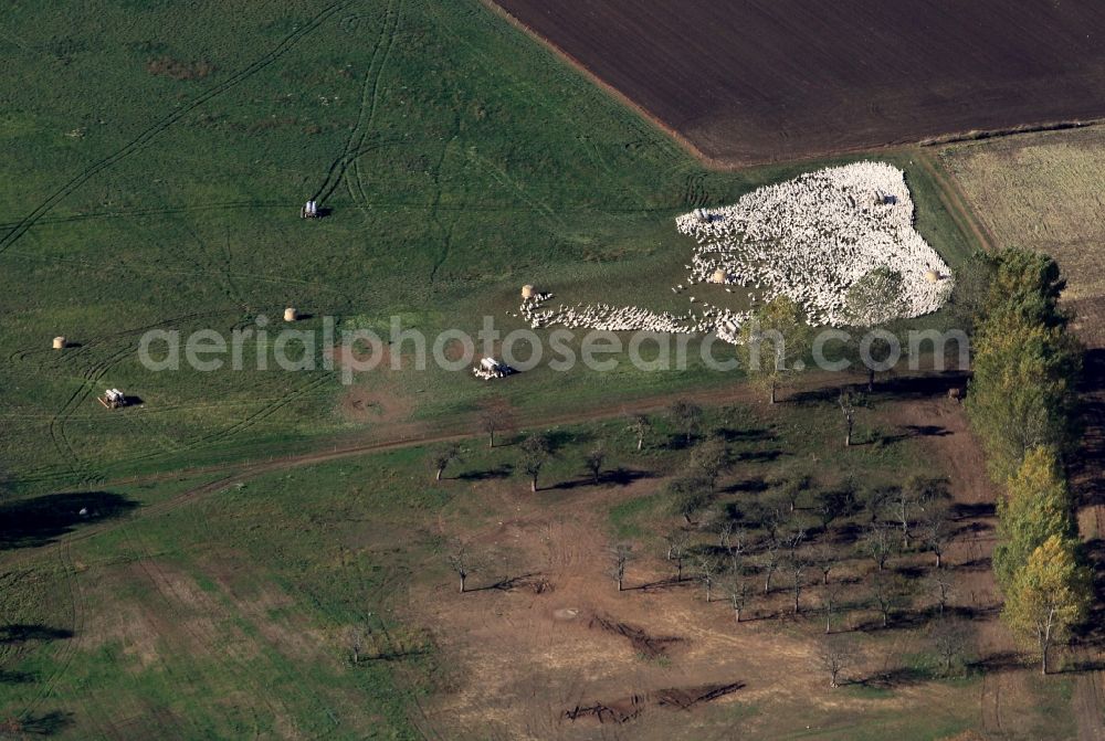 Aerial image Zimmern - Goose and turkey production of agricultural Gönnatal eG in Zimmern in Thuringia