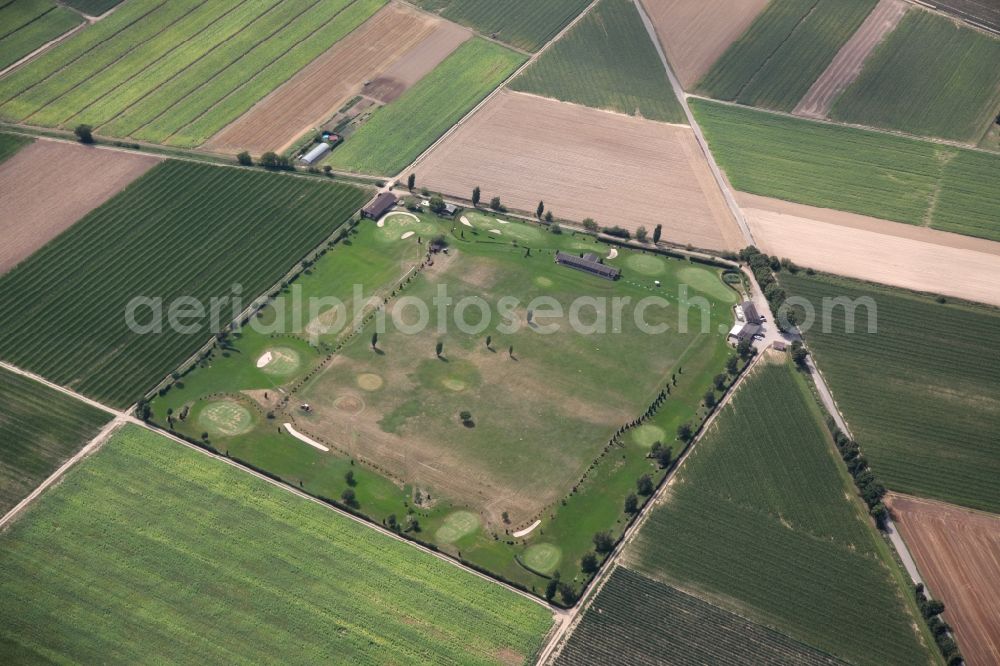 Aerial photograph Bad Krozingen - Grounds of the Golf course at Golfcampus Schlatt in Bad Krozingen in the state Baden-Wuerttemberg