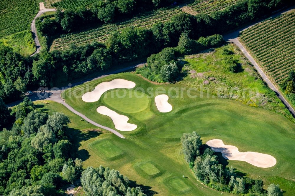 Aerial photograph Herbolzheim - Grounds of the Golf course at Breisgau Golf in Herbolzheim in the state Baden-Wuerttemberg, Germany