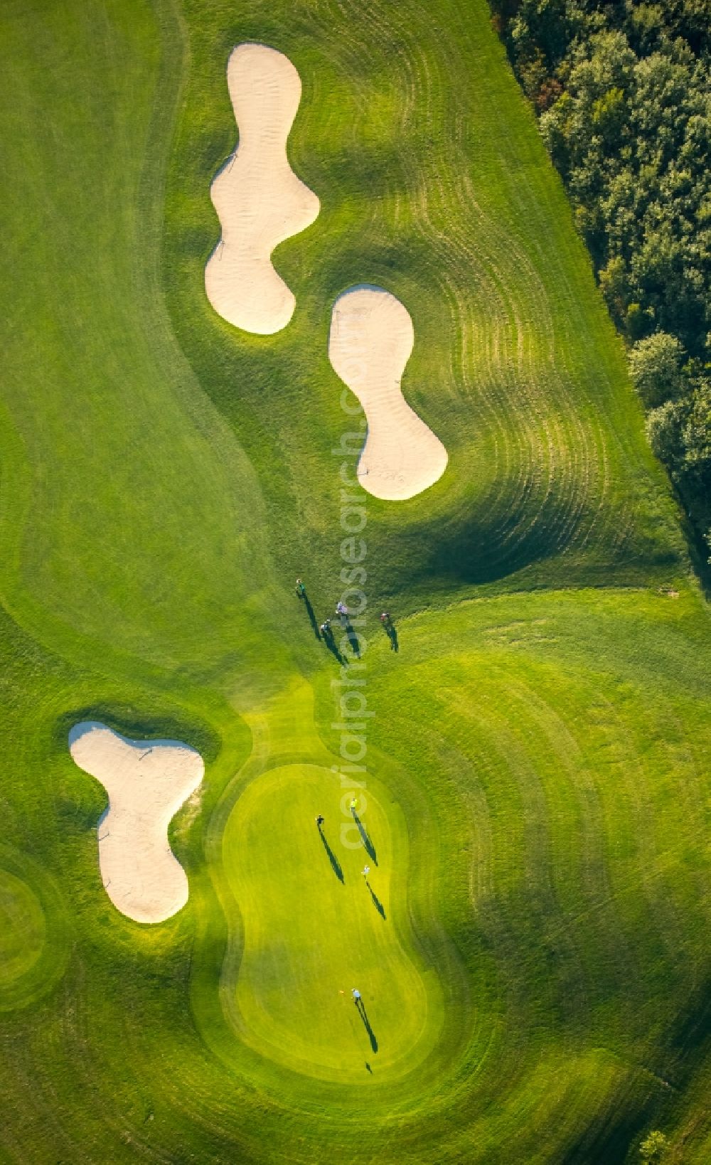 Duisburg from the bird's eye view: Grounds of the Golf course at Huckingen in Duisburg in the state North Rhine-Westphalia