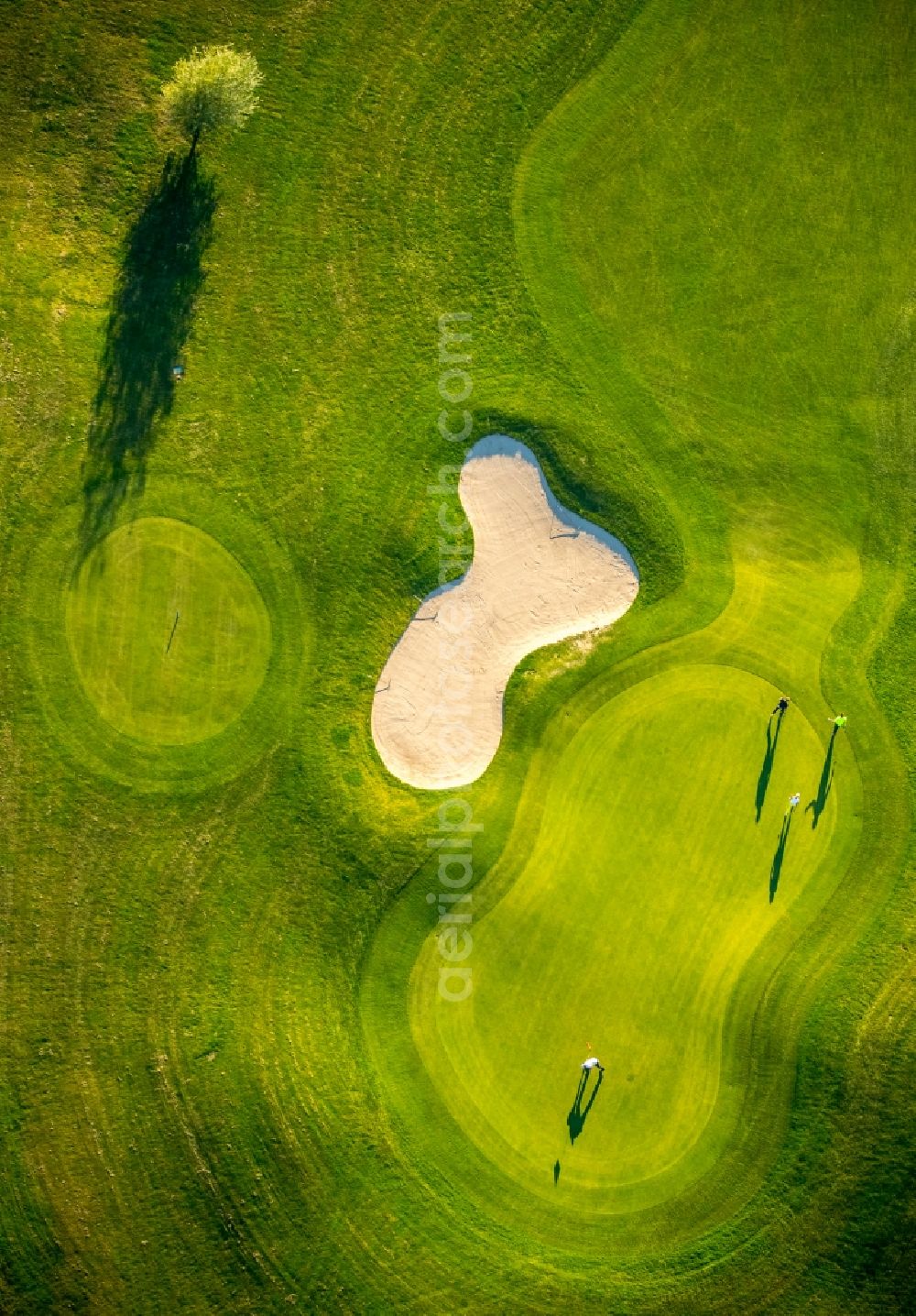 Duisburg from above - Grounds of the Golf course at Huckingen in Duisburg in the state North Rhine-Westphalia