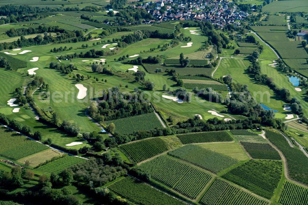 Aerial photograph Herbolzheim - Grounds of the Golf course at Europa-Park Breisgau Golfclub in Herbolzheim in the state Baden-Wuerttemberg, Germany