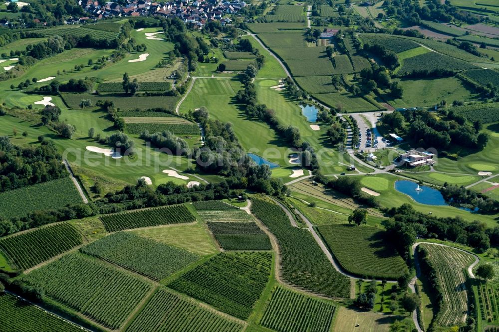 Herbolzheim from above - Grounds of the Golf course at Europa-Park Breisgau Golfclub in Herbolzheim in the state Baden-Wuerttemberg, Germany