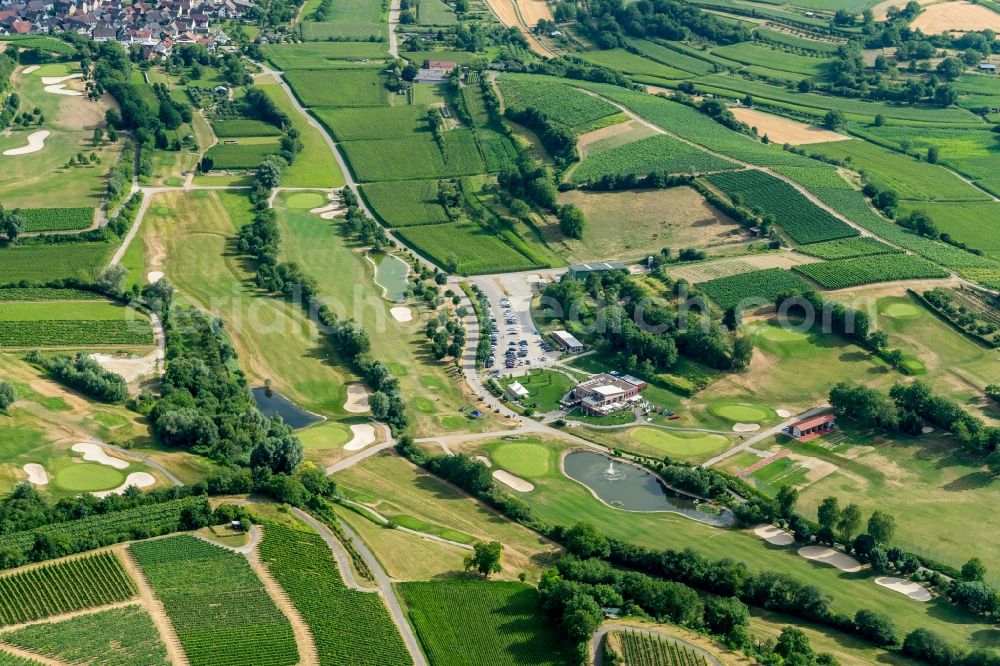 Herbolzheim from the bird's eye view: Grounds of the Golf course at Golfclub Breisgau in Herbolzheim in the state Baden-Wuerttemberg