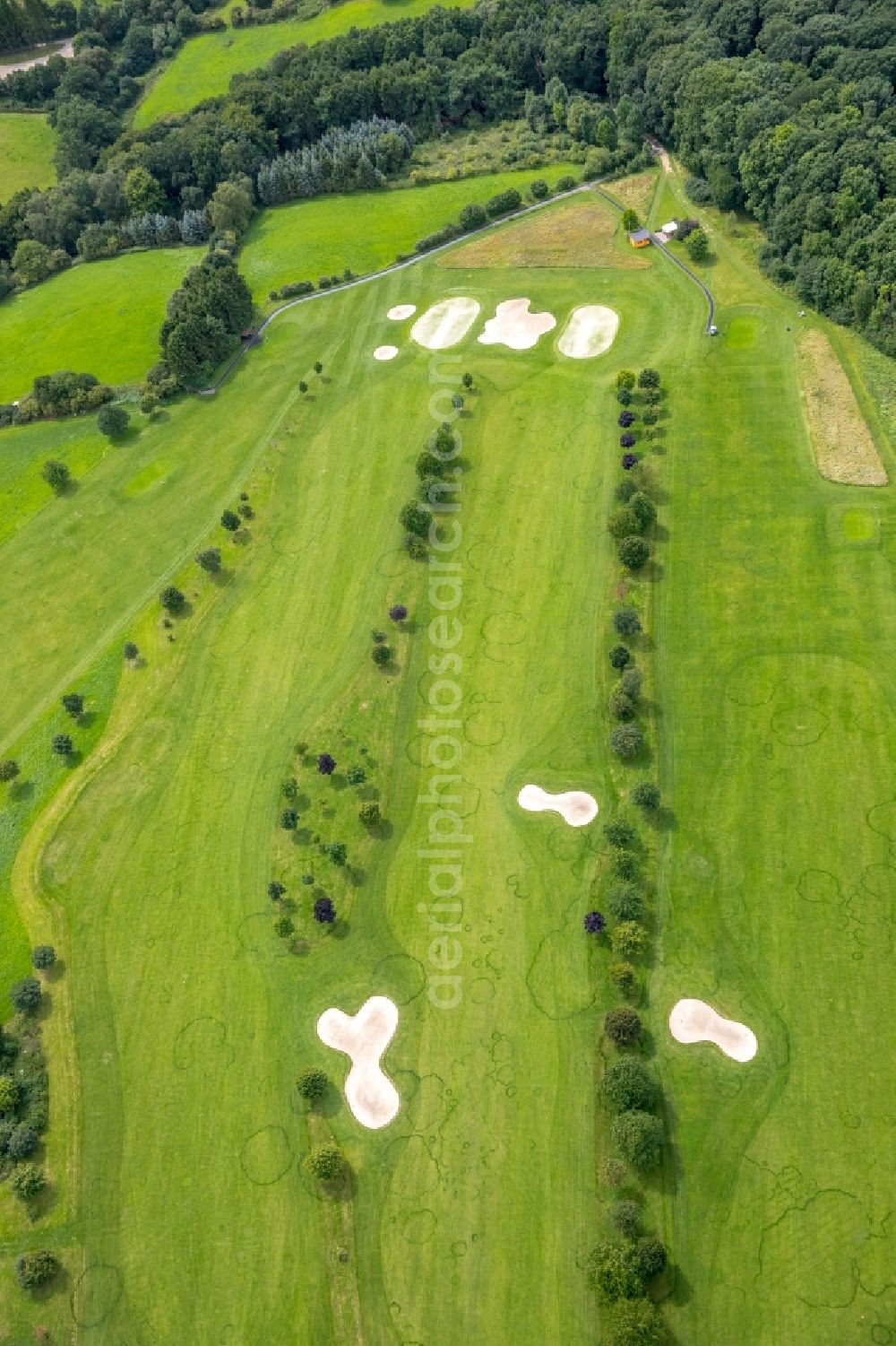 Aerial image Gevelsberg - Grounds of the Golf course at of Golfclub Gut Berge on Berkenberg in the district Heck in Gevelsberg in the state North Rhine-Westphalia, Germany