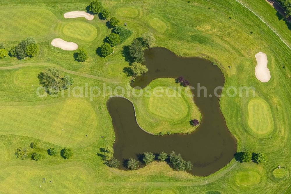 Mülheim an der Ruhr from the bird's eye view: Grounds of the Golf course at Golfclub Muelheim on Ruhr Raffelberg in Muelheim on the Ruhr at Ruhrgebiet in the state North Rhine-Westphalia, Germany