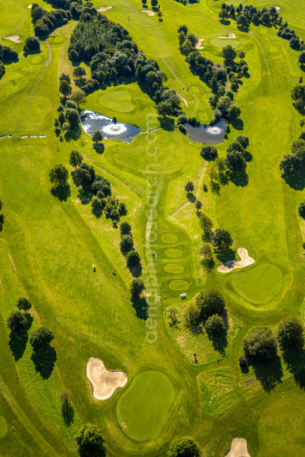 Velbert from the bird's eye view: Grounds of the Golf course at Golfclub Velbert Gut Kuhlendahl e.V. on street Kuhlendahler Strasse in Velbert in the state North Rhine-Westphalia, Germany