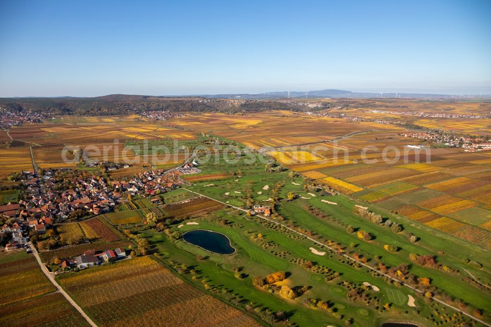 Dackenheim from the bird's eye view: Grounds of the Golf course at Golfgarten Deutsche Weinstrasse - Dackenheim - GOLF absolute in Dackenheim in the state Rhineland-Palatinate, Germany