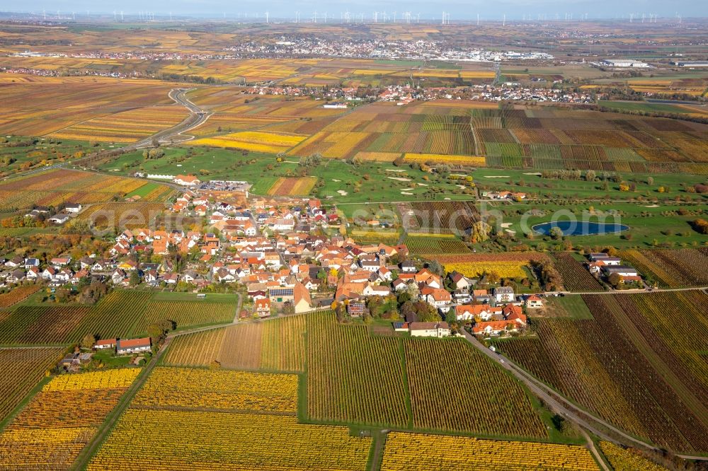 Aerial image Dackenheim - Grounds of the Golf course at Golfgarten Deutsche Weinstrasse - Dackenheim - GOLF absolute in Dackenheim in the state Rhineland-Palatinate, Germany