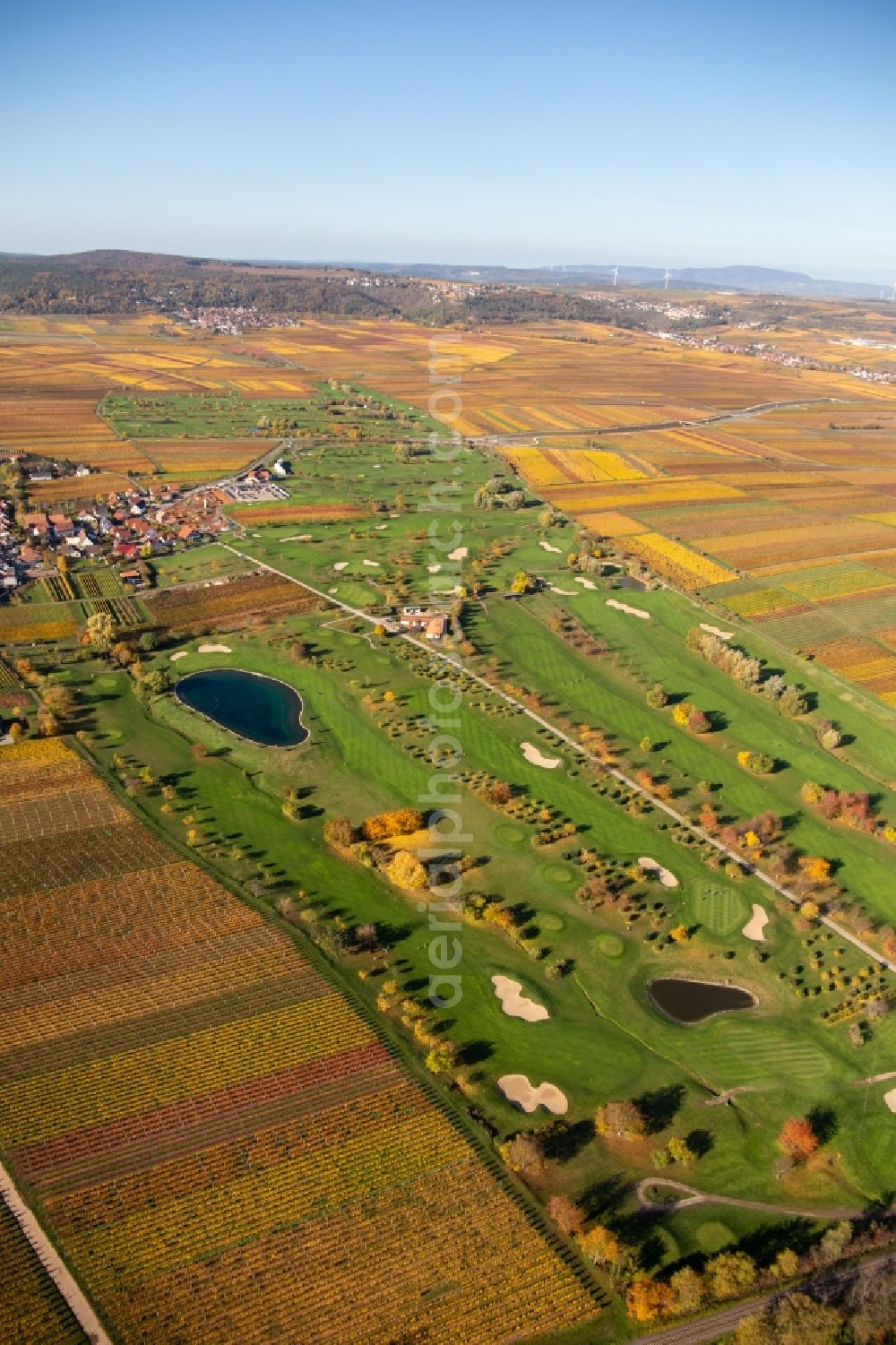 Aerial photograph Dackenheim - Grounds of the Golf course at Golfgarten Deutsche Weinstrasse - Dackenheim - GOLF absolute in Dackenheim in the state Rhineland-Palatinate, Germany